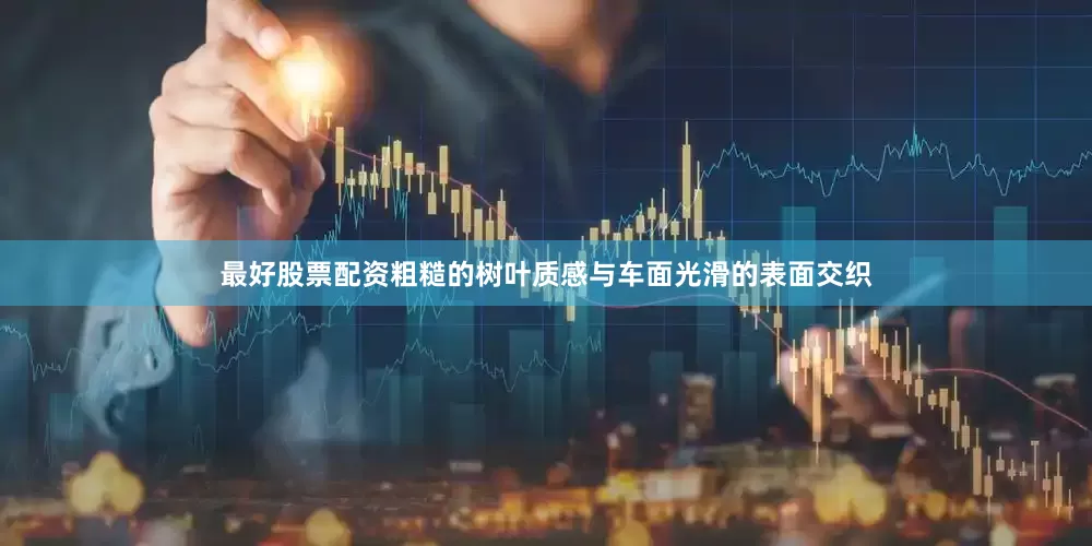 最好股票配资粗糙的树叶质感与车面光滑的表面交织