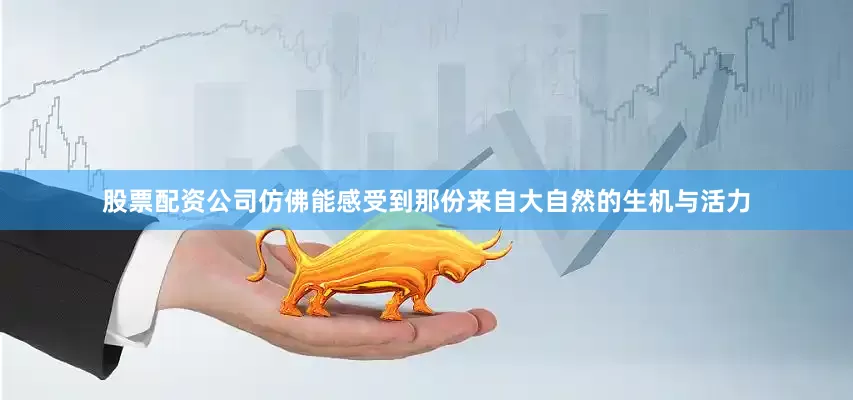 股票配资公司仿佛能感受到那份来自大自然的生机与活力